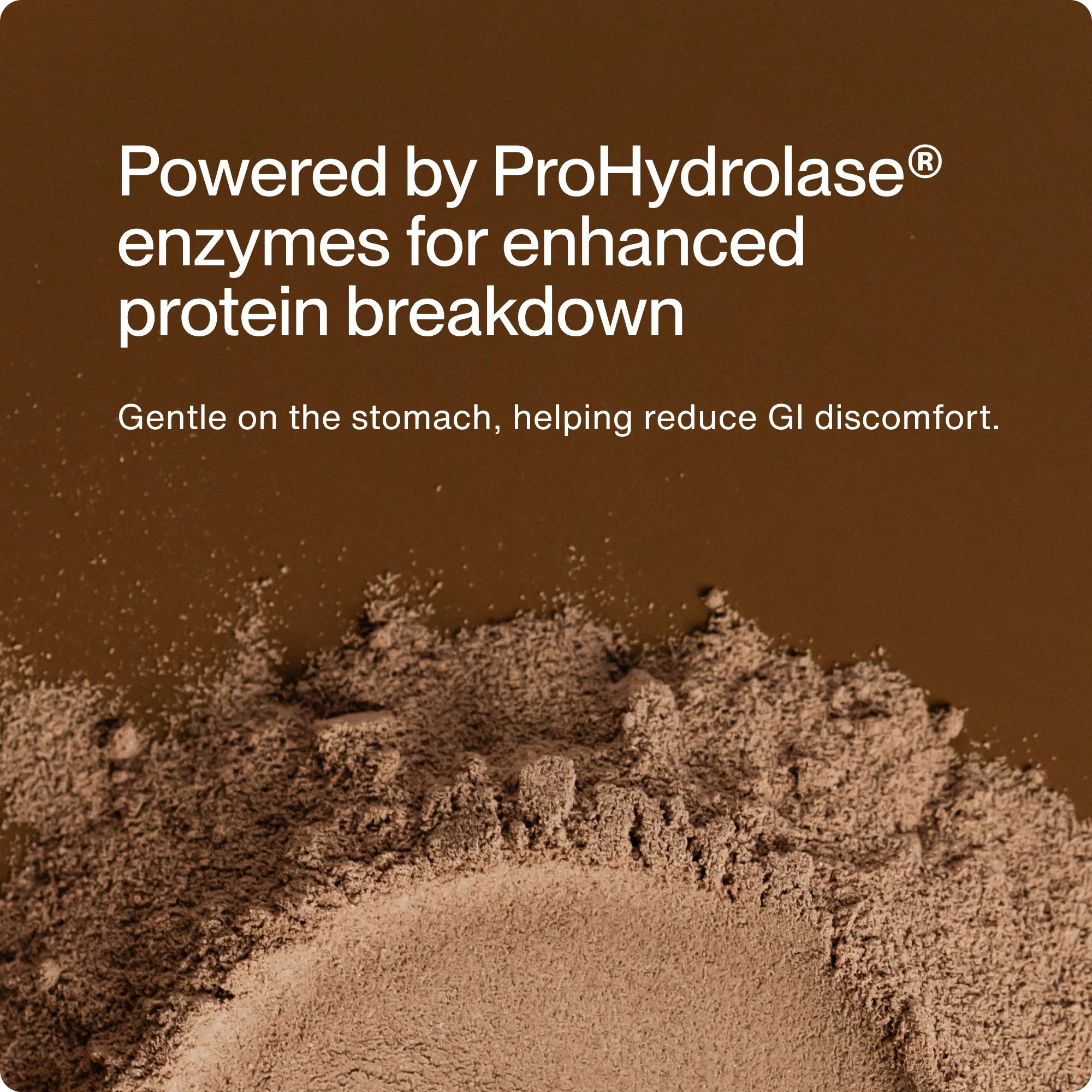 Whey Protein Isolate - Limited Edition - Image 8